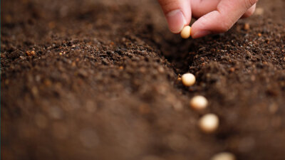 The Seed and the Soils (Part 1 of 2)